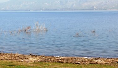 Sea of Galilee trail plan that keeps parts of shore off-limits to public sparks outcry
