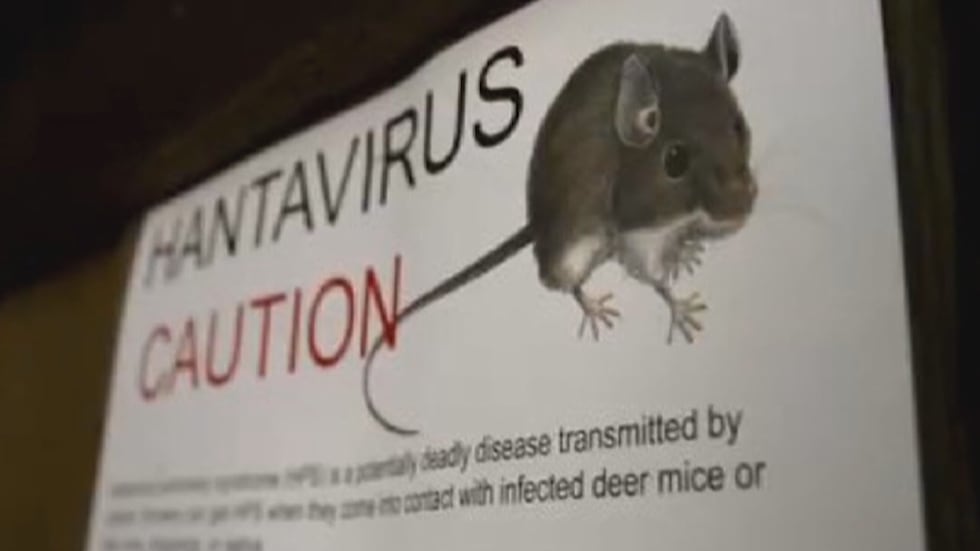 NNPH says virus has 40% fatality rate