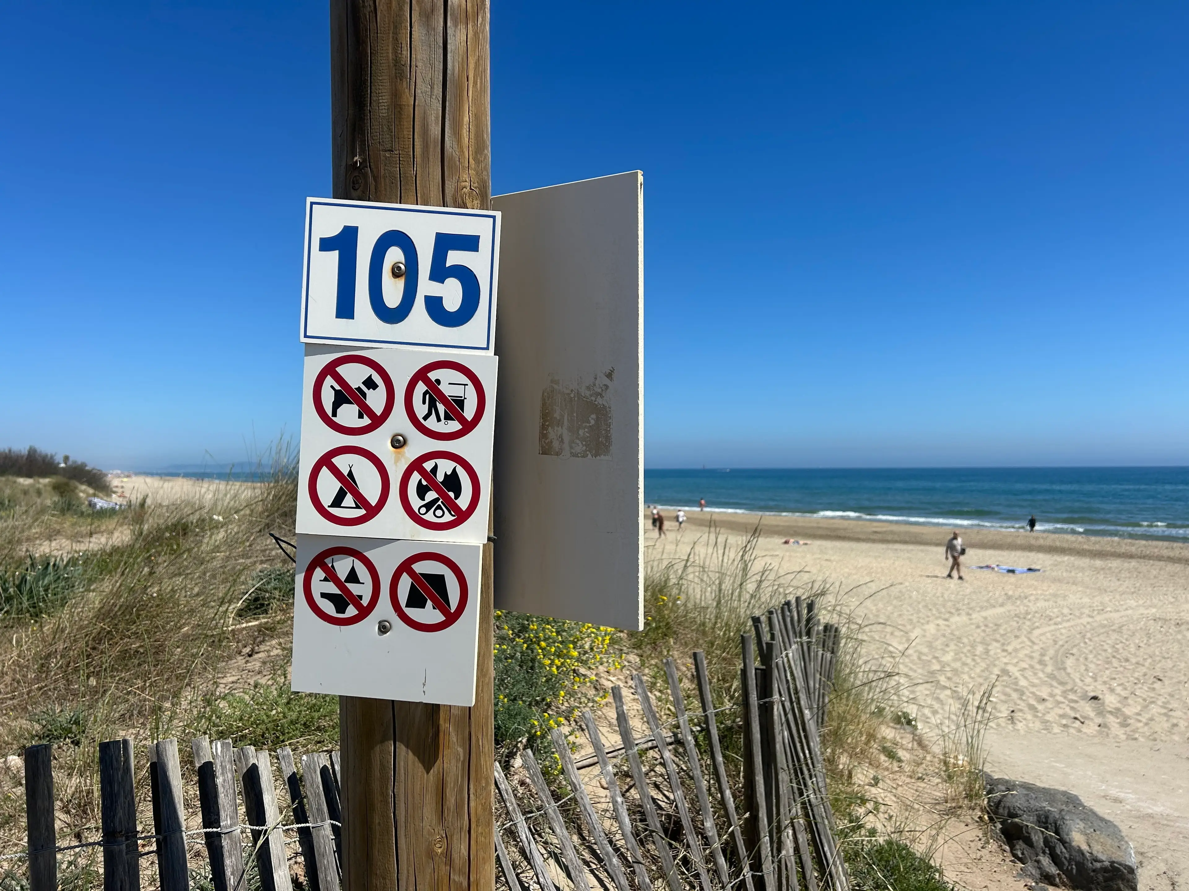 There is reportedly a lot of action unfolding on the 'world-famous' beach (SWNS)