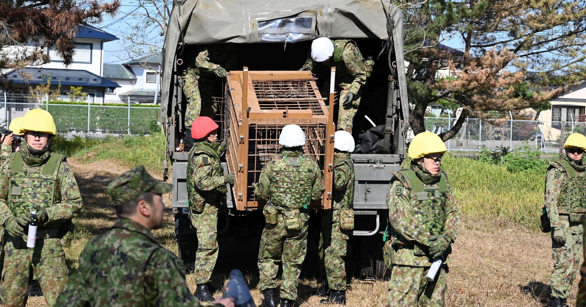 Japan Bear Attack