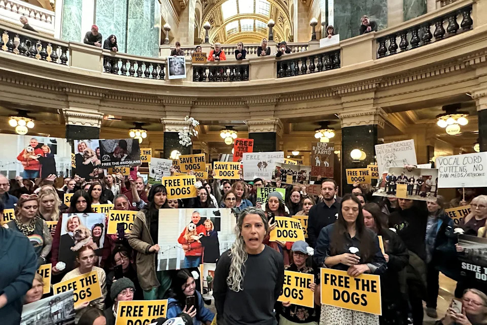 Animal rights activists converge at the Wisconsin state Capitol 