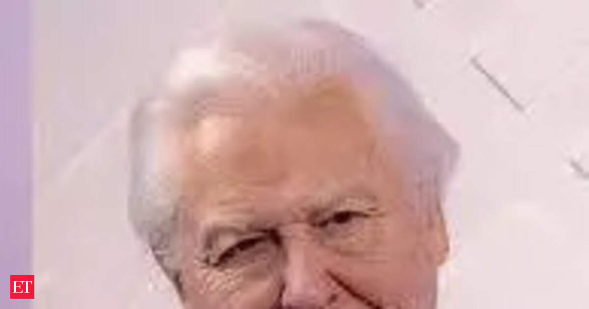 quote of the day by david attenborough: Quote of the Day by David Attenborough: 'Cherish the natural world, because…'—Inspiring quotes by the world-renowned naturalist and broadcaster who's turning 100 soon