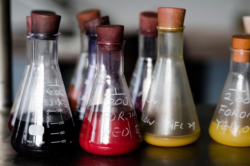 corked scientific flasks with brightly coloured liquid in them are lined up on a table. Each flask has white writing on them