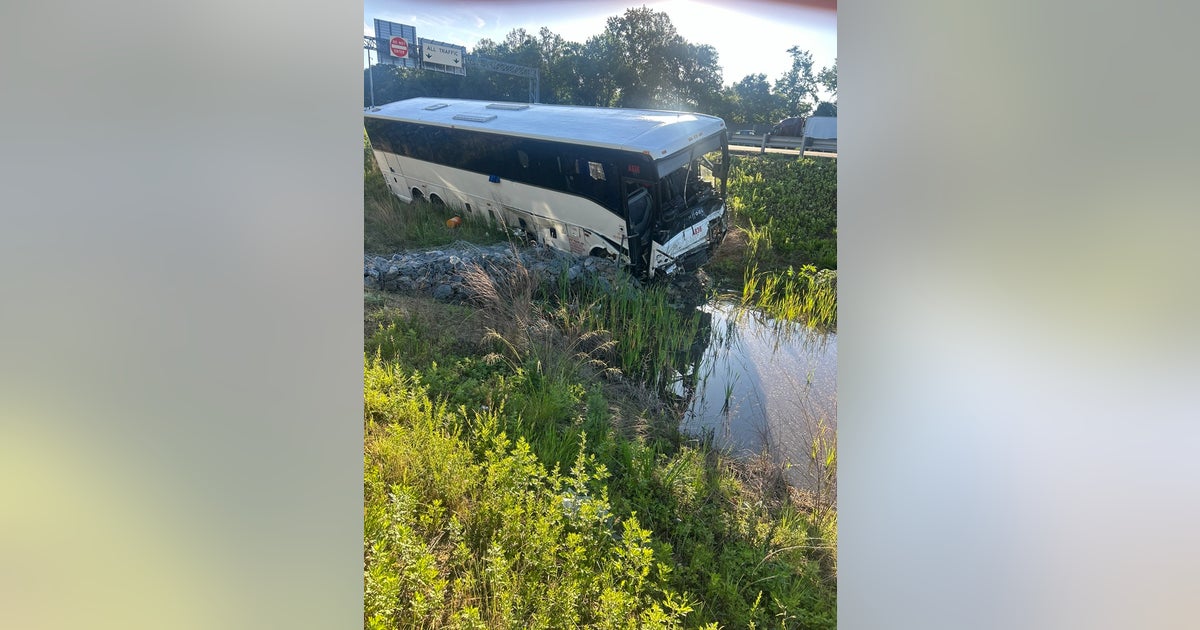 bus1.jpg