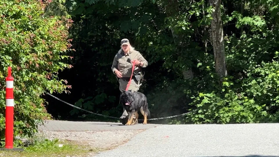 An officer with a dog is seen in the Brunswick Beach area near Stewart McLean's house on May 22, 2026.