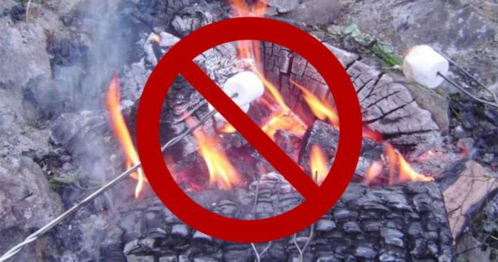 Campfire, burning bans go into effect early for B.C. Coastal Fire Centre