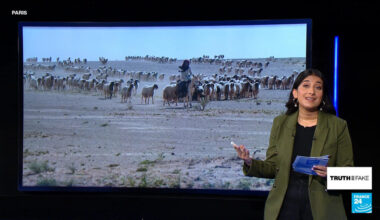Israel built two secret military bases in Iraq to aid Iran war, New York Times reports - Truth or Fake