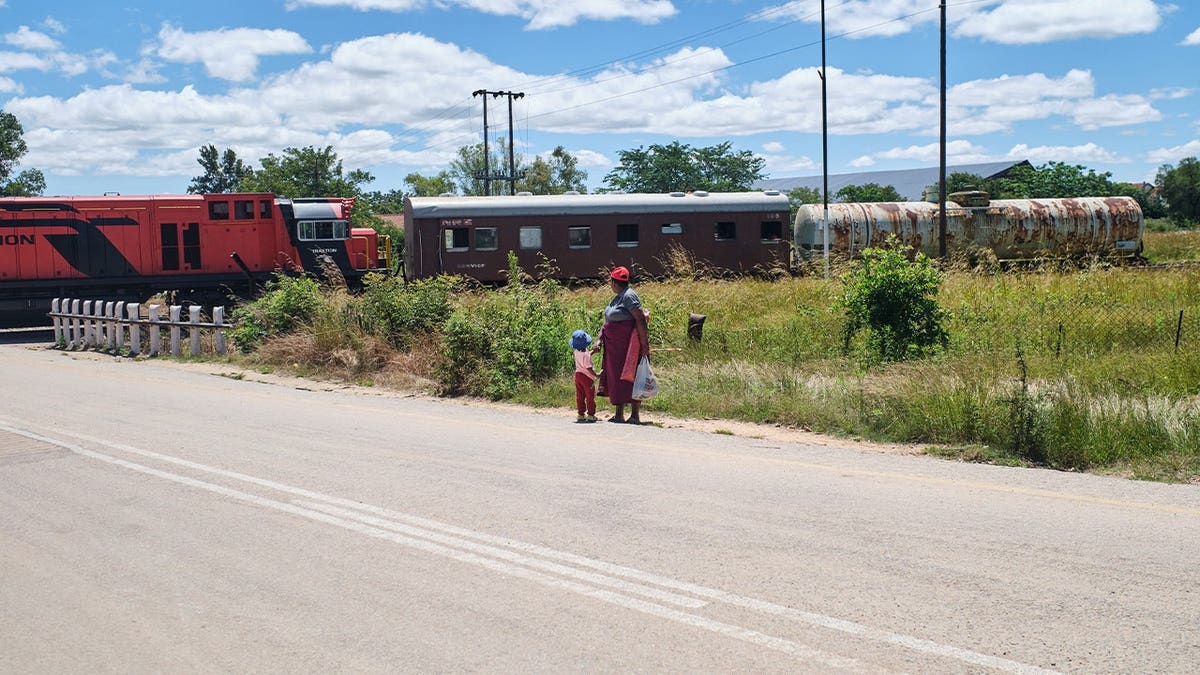 Cargo train