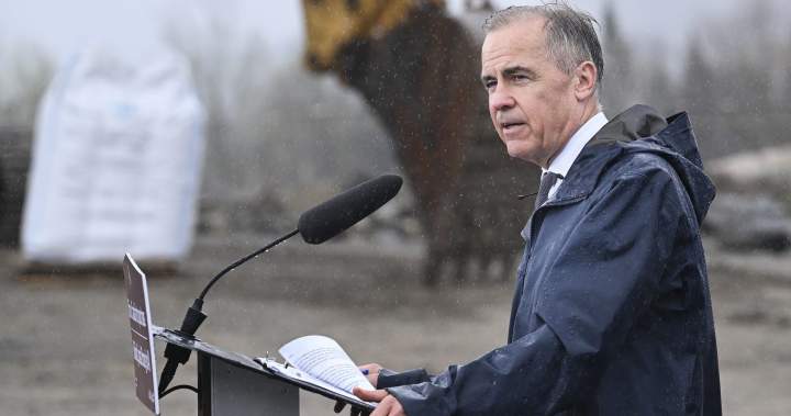 Carney says not to ‘overplay the importance’ of paused U.S. military board - National
