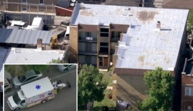 Chicago maniac stabs infant girl to death, then jumps out window: cops