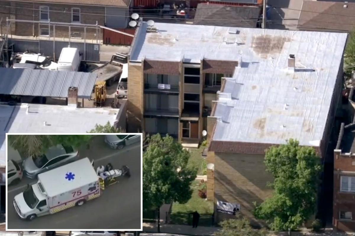 Chicago maniac stabs infant girl to death, then jumps out window: cops