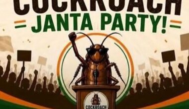 Rapid rise of "Cockroach Janta Party" online protest movement appears to spook India's leaders