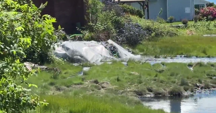 Sewage emergency in the Comox Valley means thousands can’t flush toilets - BC