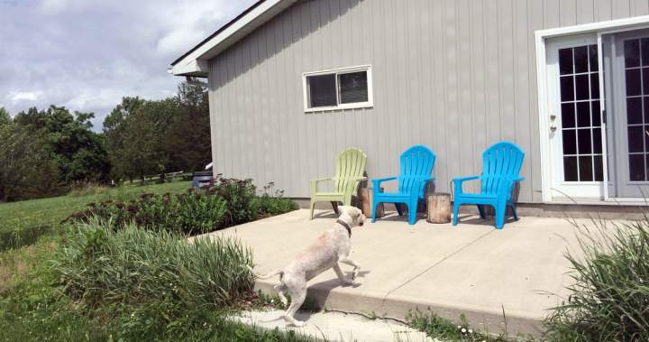Spring cleaning your home or cottage? How to limit hantavirus risk - National