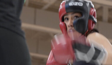 The New Harvard Trend? Getting Punched in the Face.