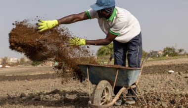 Iran war forces farmers to seek fertilizer alternatives from cow dung to compost :: WRAL.com