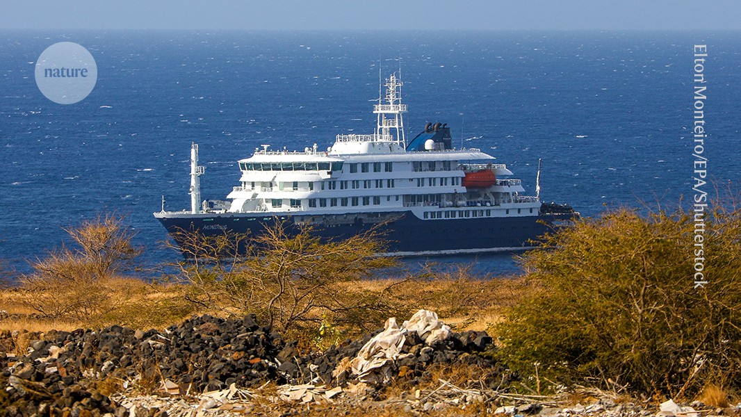 Hantavirus crops up on a cruise ship — what scientists are watching
