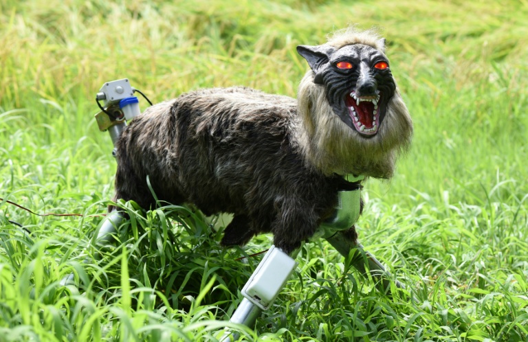 Japan 'robot wolves' in high demand to scare off bears