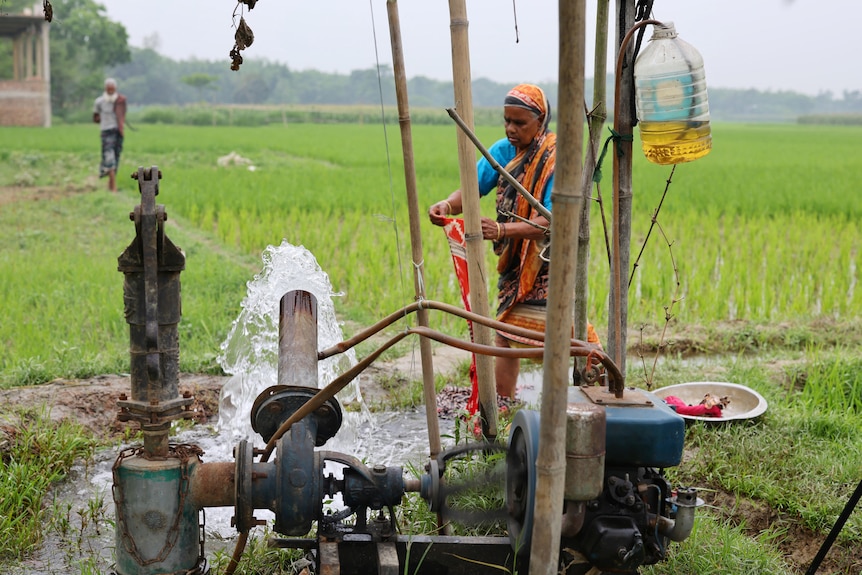 A woman handwashes clothing using the same water being pumped for irrigation into a field in Bangladesh.