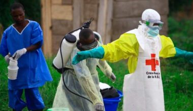 What to know about Ebola outbreak as WHO declares global health emergency - National