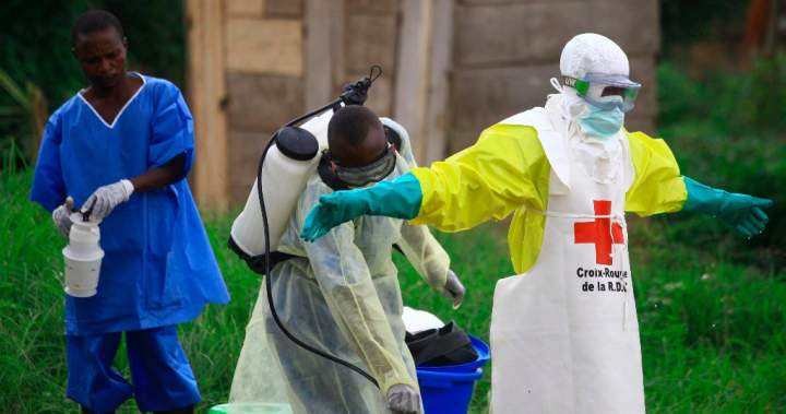 What to know about Ebola outbreak as WHO declares global health emergency - National