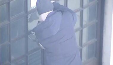 Failed asylum seeker who made 'foolish' bomb hoax at MI5 HQ jailed - London Evening Standard