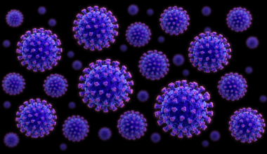 The Blogs: Why Israel Should Fear a Hantavirus Outbreak Amid War With Iran | Celeo Ramirez
