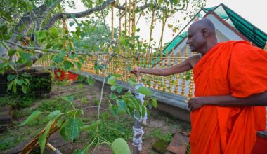 Prominent Buddhist monk arrested over alleged sexual abuse in Sri Lanka