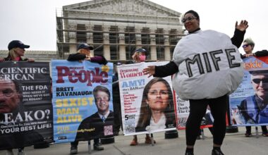 The new Supreme Court abortion case about mifepristone, Danco Laboratories v. Louisiana, explained