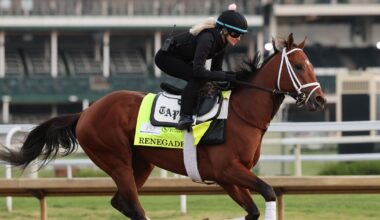 Meet the Kentucky Derby horses running in the 2026 race