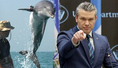 Hegseth says Iran does not have kamikaze dolphins at Pentagon briefing