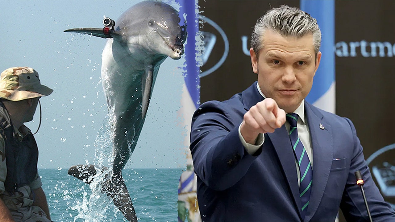 Hegseth says Iran does not have kamikaze dolphins at Pentagon briefing