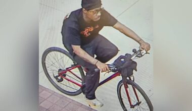 Atlanta Beltline deadly stabbing: Stabbing suspect also threw rock at Postal worker, police say - WSB-TV Channel 2