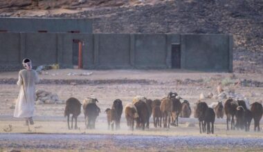 The humiliation of finding secret Israeli bases in Iraq