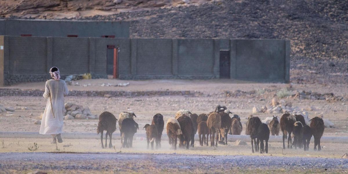 The humiliation of finding secret Israeli bases in Iraq