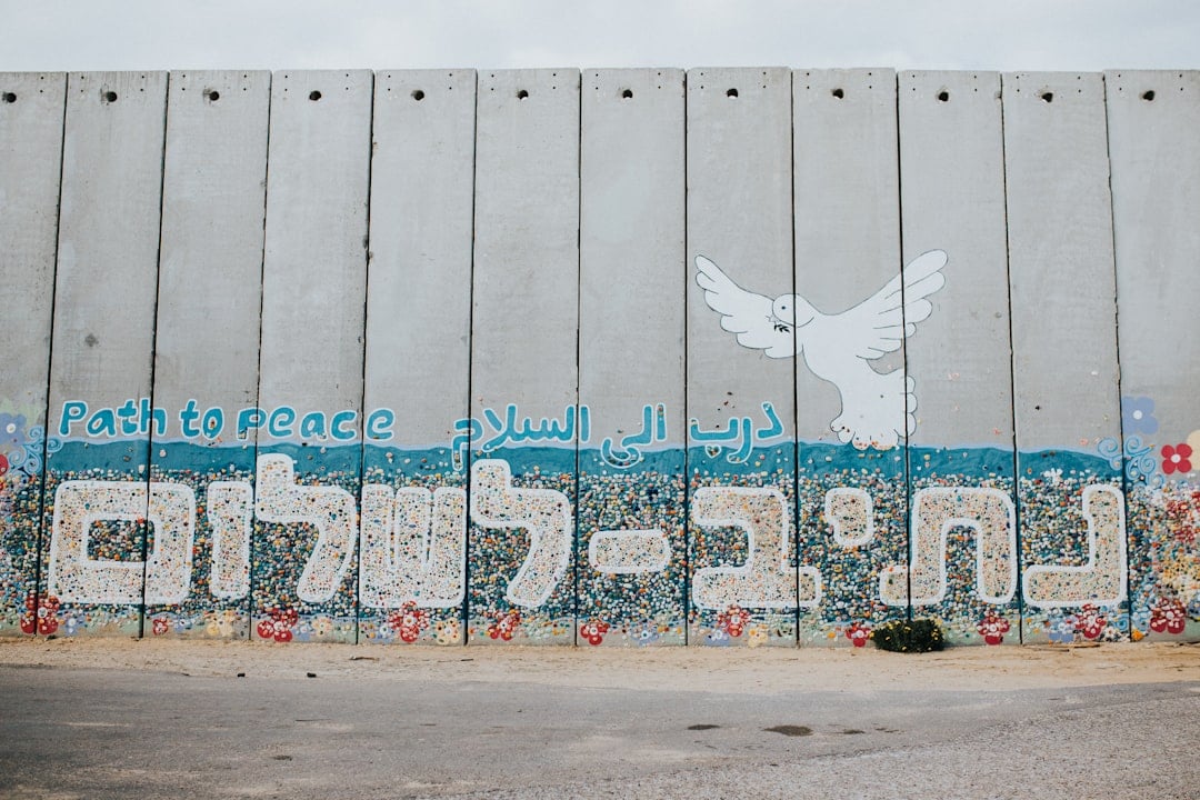 The Blogs: Too Zionist for the Left, Too Left for Israel | Marni Davimes