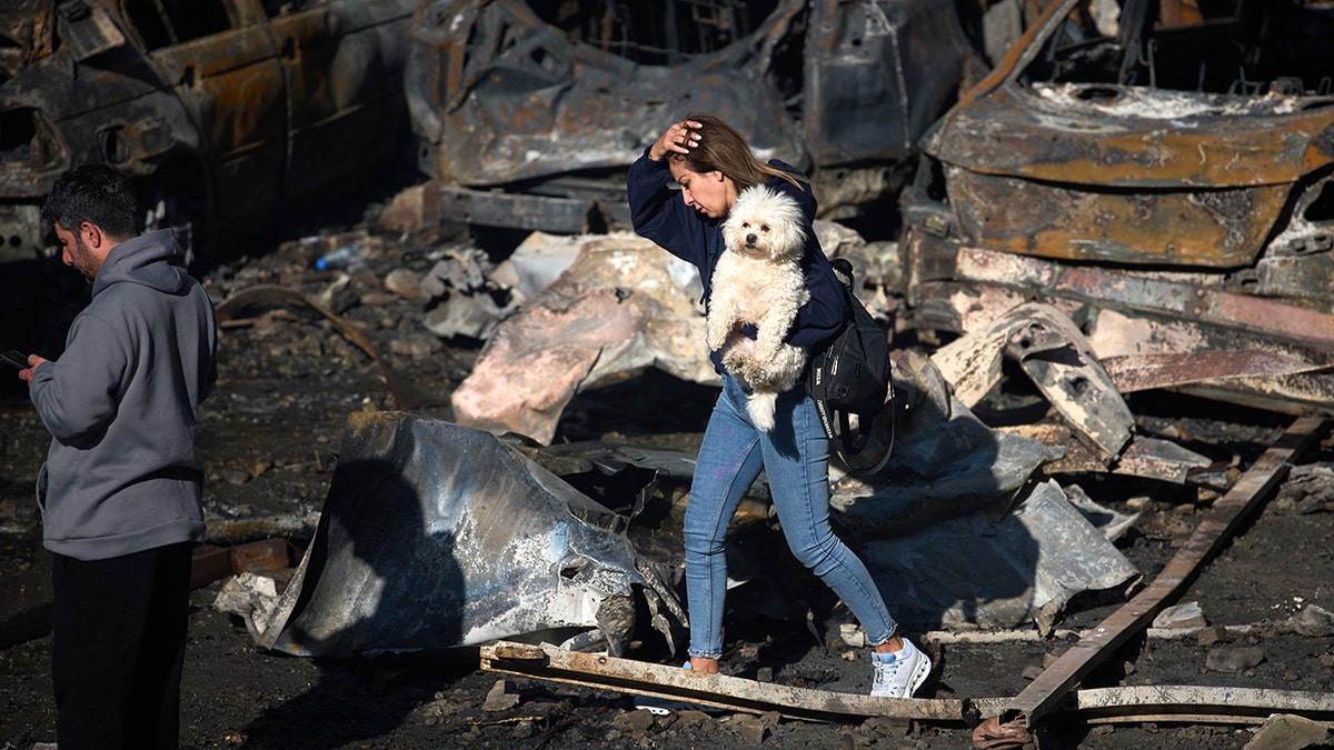 A woman holding her dog walking past burned cars in Beirut