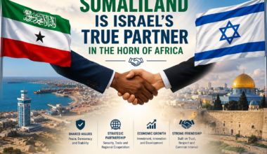 The Blogs: Somaliland is Israel’s true partner in the Horn of Africa | Mohamed Abdi Idiris