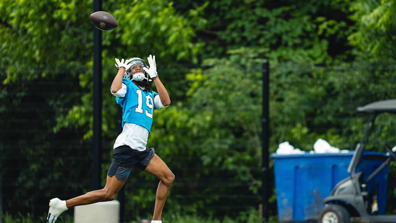 Carolina Panthers logo