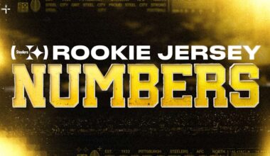 Pittsburgh Steelers logo