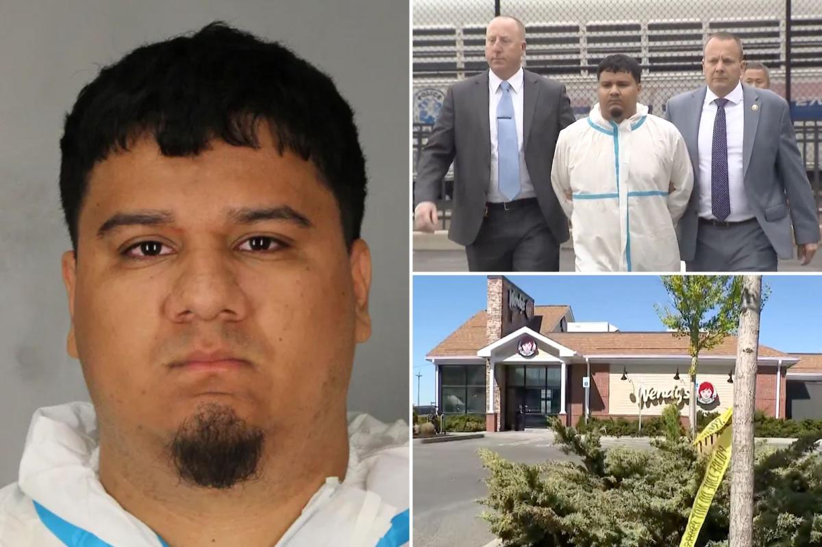 Illegal migrant butchers 2 women in savage LI murders, cops say