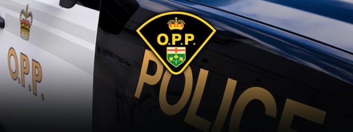 OPP Car Banner