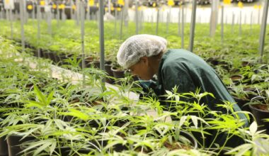 Health Ministry panel seeks to halt use of medical cannabis in smokable form