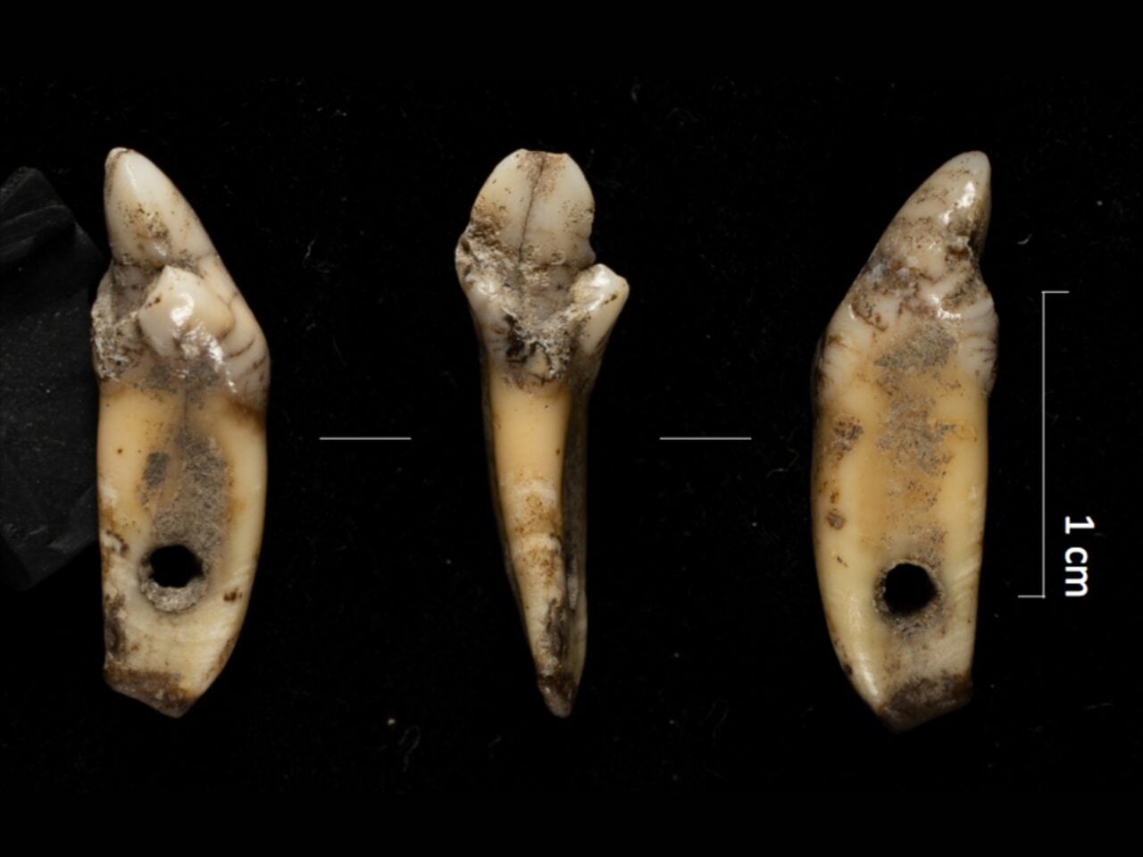 Pyrenees Pendant Cave 338 2