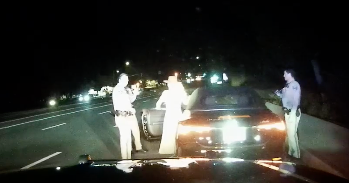 Britney Spears argued with police, denied being intoxicated during March DUI arrest, footage shows