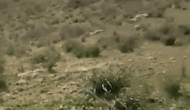 What It's Like When a Settler Brutally Assaults You