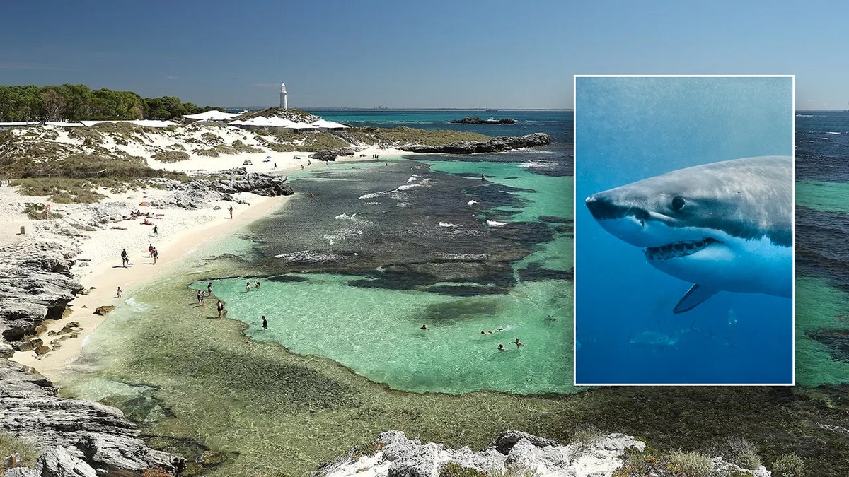 Fatal shark attack Australia