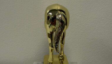 Behold, the Elon Musk jackass trophy