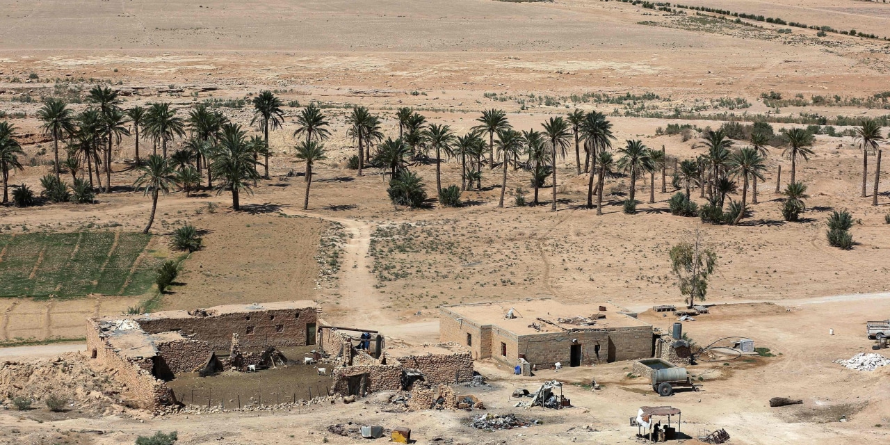 Israel’s Secret Base in Iraq, Iran’s Leader is MIA, Hantavirus Cruise Passengers Begin Repatriation | What’s News for May 10