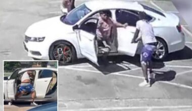 Illegal immigrant ID'd as attempted carjacker gunned down by Texas dad protecting his family of 8